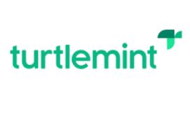 Turtlemint Fintech Solutions - IPO company logo